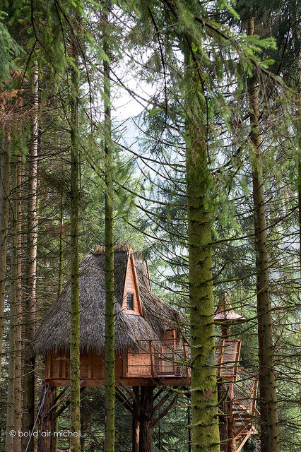 Bol d'Air : des cabanes dans les arbres dans les Vosges