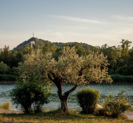Camping hippocampe