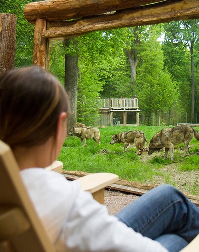 Dormir avec les loups au Parc de Sainte-Croix