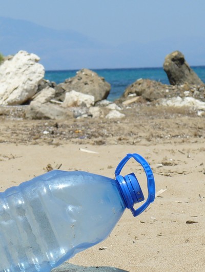 Environnement : le gouvernement va créer un délit d'écocide