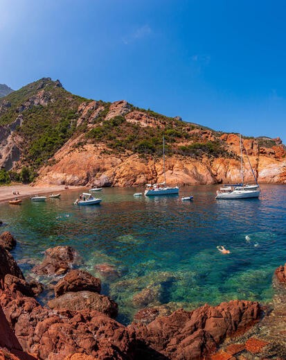 Réserve corse