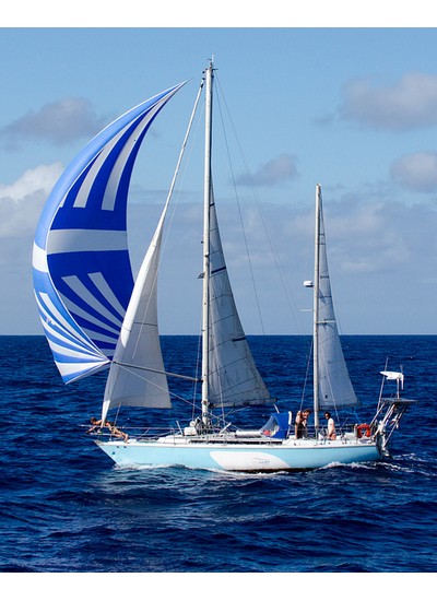 L'équipage de l'Eco Sailing Project va rentrer en Bretagne