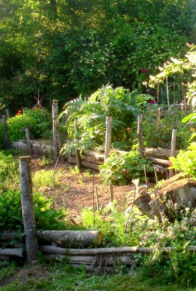 La culture sur buttes : une astuce de jardinage écologique