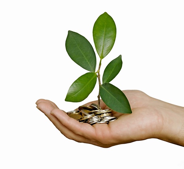 La France sera le premier pays à émettre des green bonds dès 2017