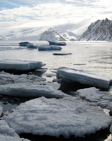 La journée mondiale du climat, c'est le 8 décembre