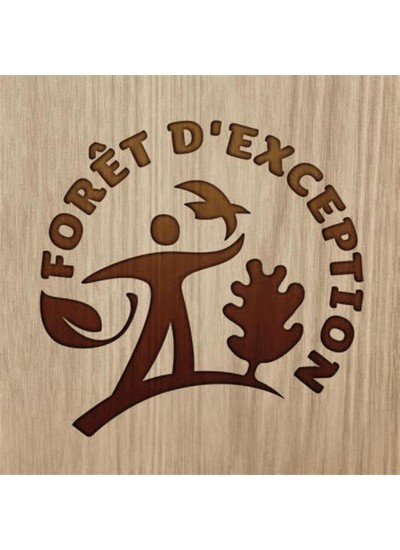 Le label Forêt d'exception : une distinction pour des forêts remarquables