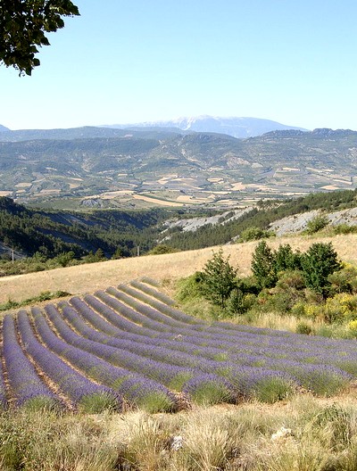 Le Parc des Baronnies Provençales : un parc naturel régional en Paca et Rhône-Alpes