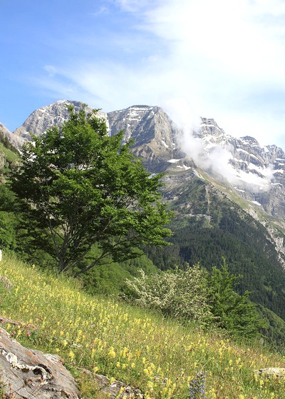 Le Parc National des Pyrénées : de magnifiques sites de randonnées