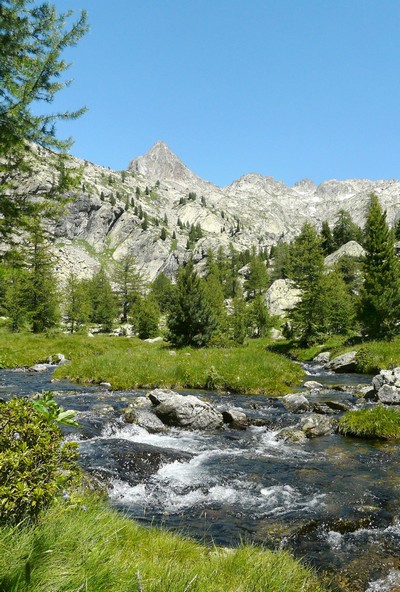 Le Parc national du Mercantour : un parc entre mer et montagne