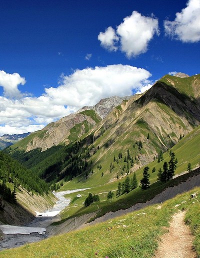 Le Parc national Suisse : le plus ancien parc des Alpes