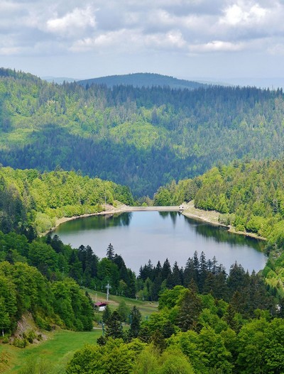 Le Parc Naturel Régional des Ballons des Vosges fête ses 30 ans