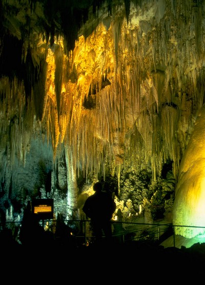 Les Carlsbad Caverns : un parc national américain