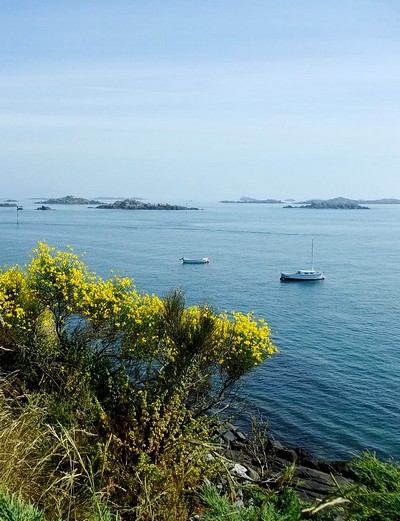 Les îles du Ponant : des trésors naturels de notre littoral