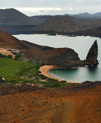 Les Iles Galapagos : une réserve de biodiversité