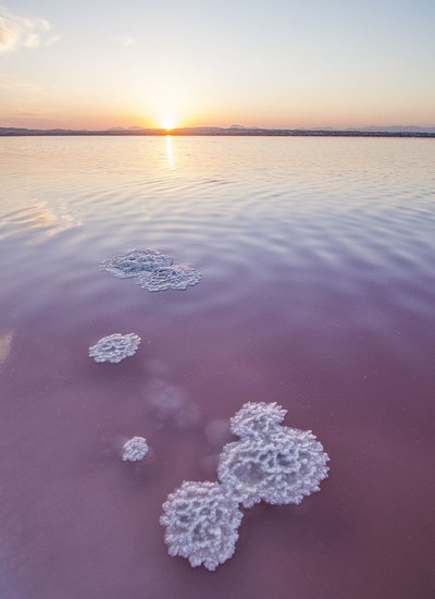 Les lagunes de la Mata et de Torrevieja : d'étonnants lacs roses en Espagne