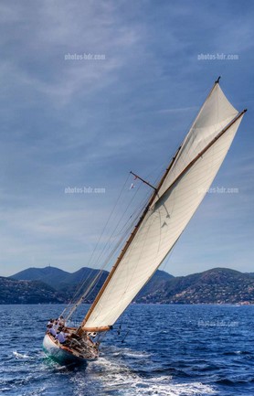 Voiles de cannes