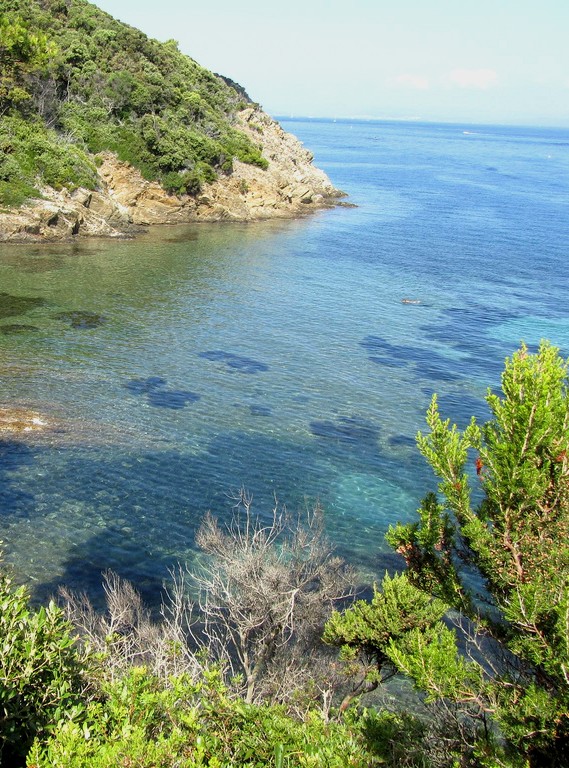 Port-Cros : une île préservée au large d'Hyères