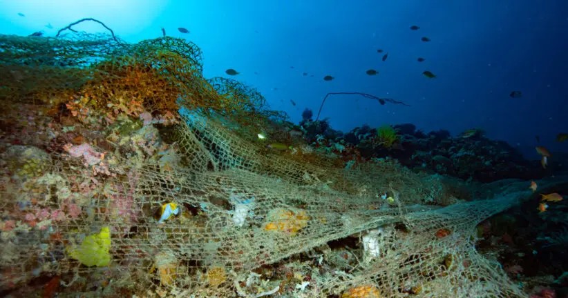 pollution marine