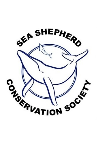 Sea Shepherd : l'association de protection des océans