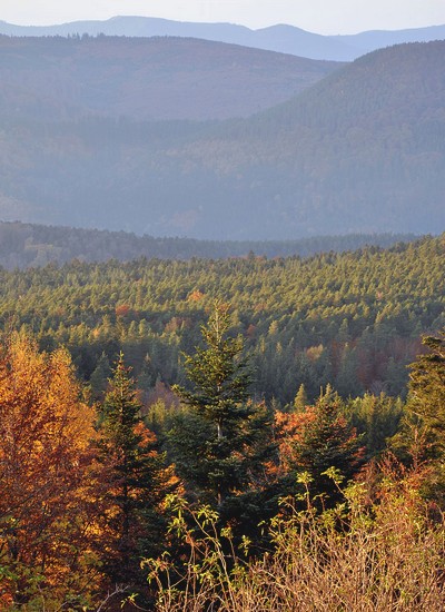 Tourisme : 4 destinations pour se ressourcer en France