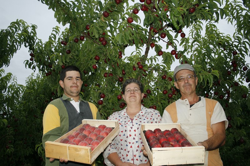 Ferme De Cantegril