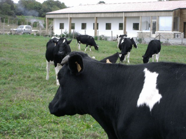 Gaec La Baziniere