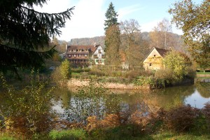 Hôtel-restaurant L'auberge D'imsthal — photo 4