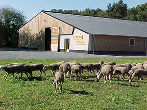 La Bergerie Fromagère