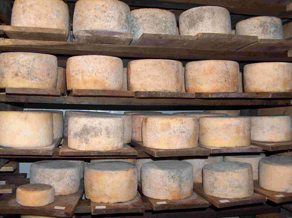 La Bergerie Fromagère — photo 2