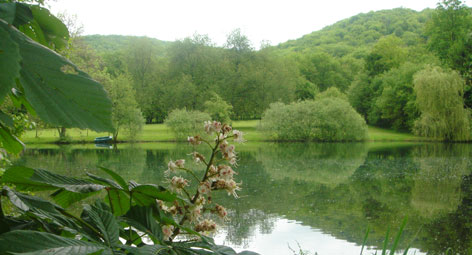 La Source Bleue — photo 2